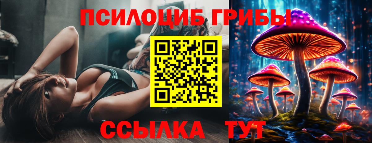 наркотики  Псилоцибиновые грибы прущие грибы  Вход с VPN  Вольск  Псилоцибиновые грибы мицелий 