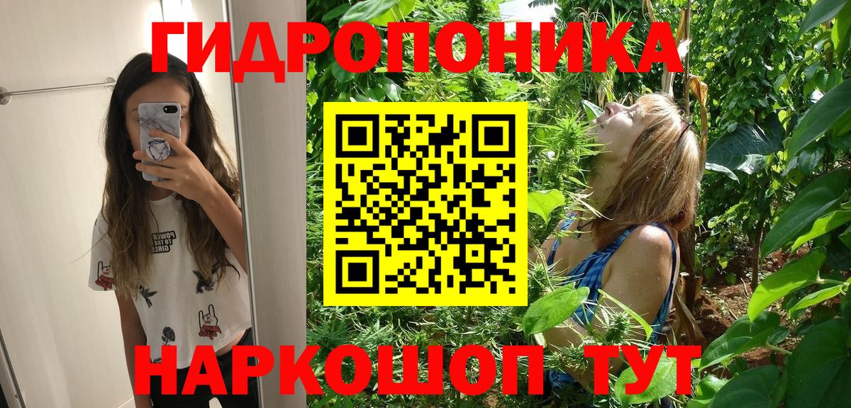 МАРИХУАНА гибрид Вольск